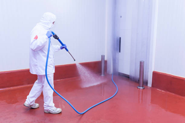 Best Graffiti Removal  in Shields, MI