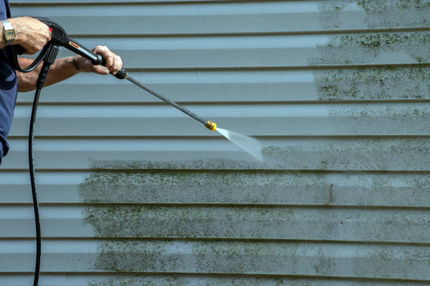 Trusted Shields, MI Pressure Washing Services Experts