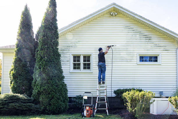 Best Sidewalk and Walkway Cleaning  in Shields, MI
