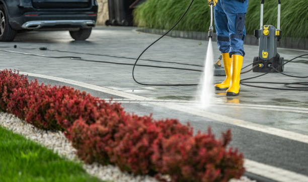 Best Building Exterior Washing  in Shields, MI